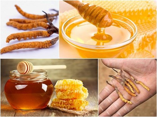 Uống đông trùng hạ thảo ngâm mật ong mỗi ngày có tốt không?