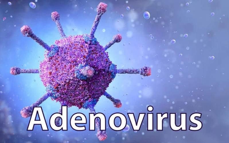 Nhiễm adenovirus: Khi nào nên đi khám?