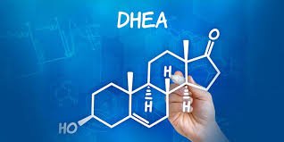 DHEA có thể tốt cho khả năng tình dục, giảm các triệu chứng sau mãn kinh