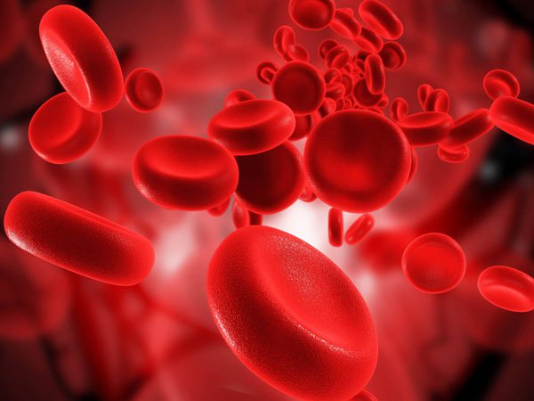 Vai trò sức bền hồng cầu trong các bệnh về máu