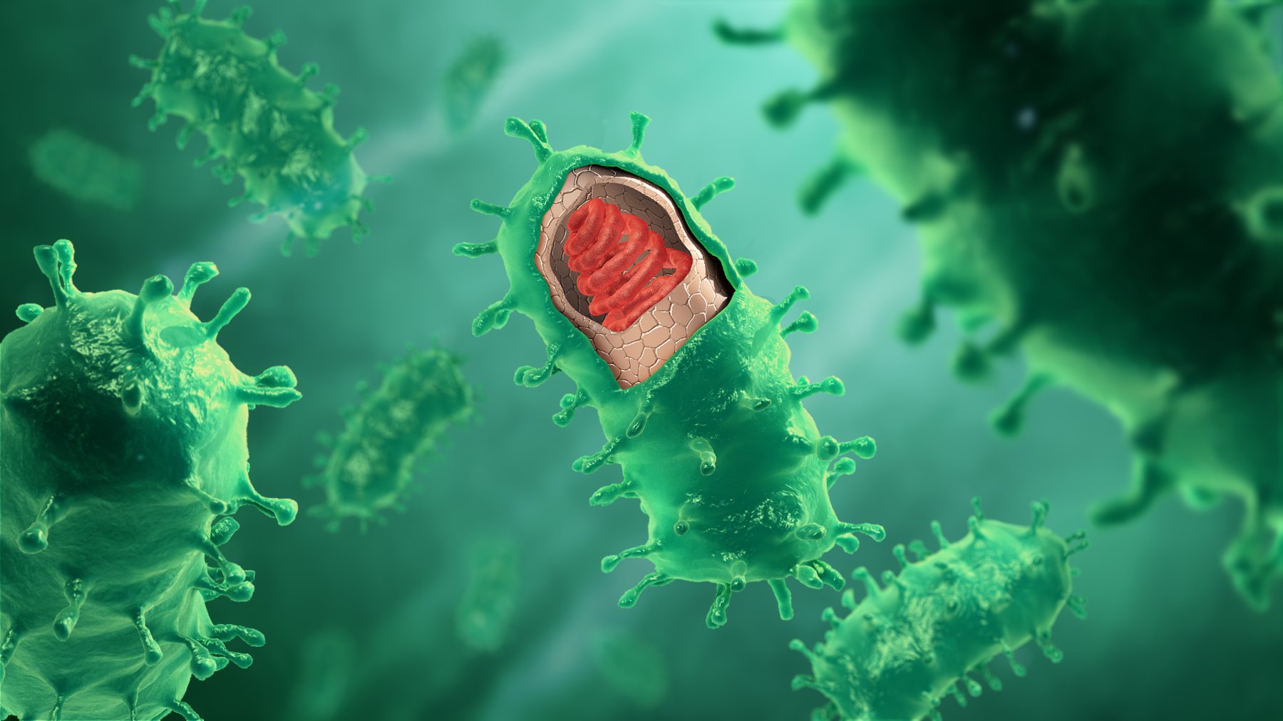 Tìm hiểu về cơ chế bệnh sinh của sự nhiễm virus