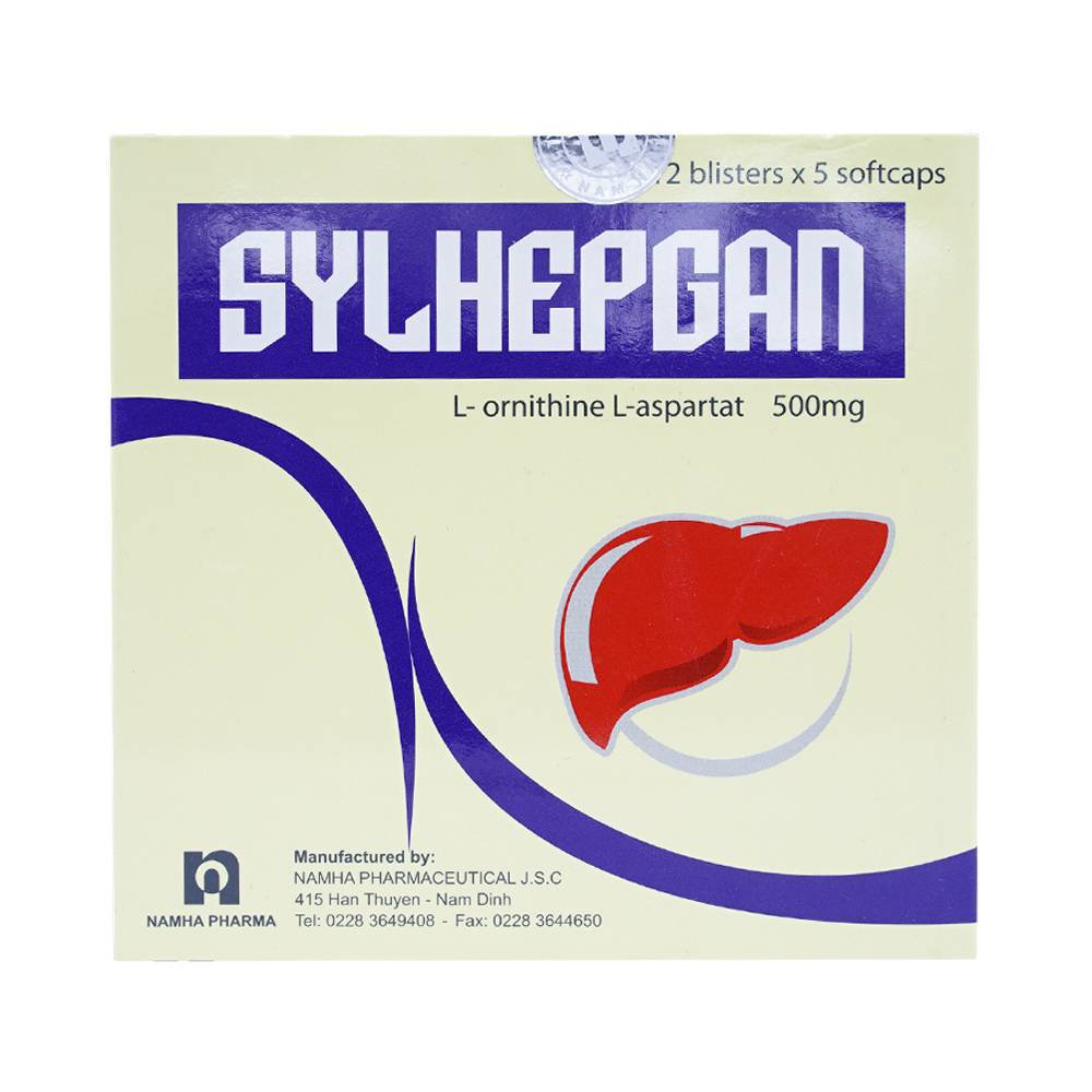 Sylhepgan là thuốc gì? Tác dụng của thuốc Sylhepgan 500