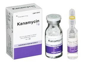 Kanamycin thuộc nhóm kháng sinh nào?