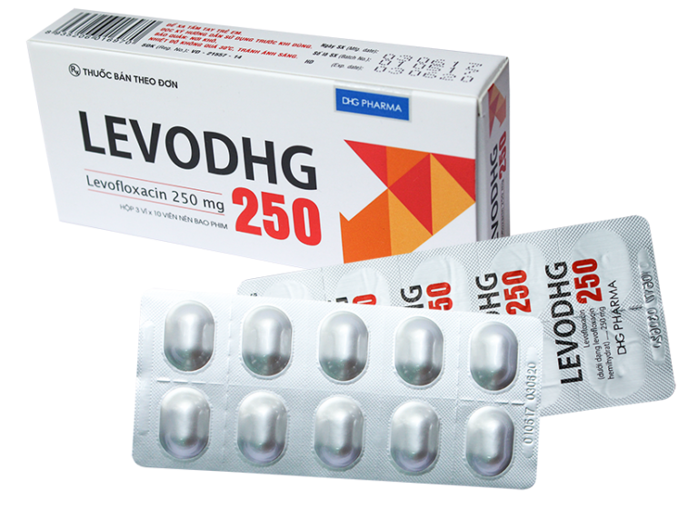 Công dụng thuốc Evodhg 250