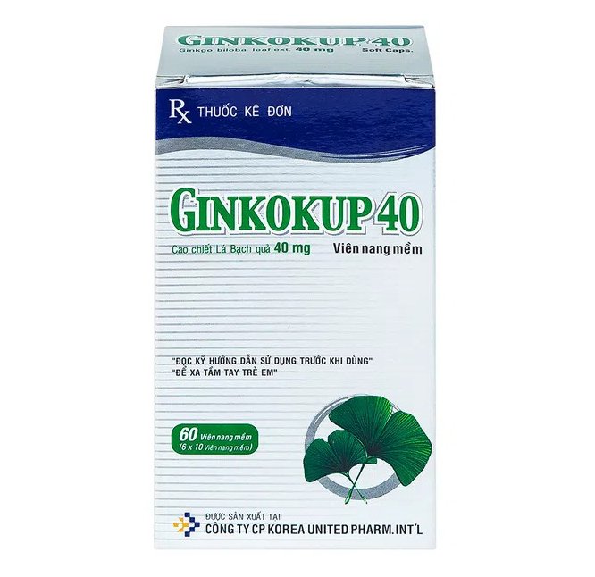Công dụng thuốc Ginkokup 40