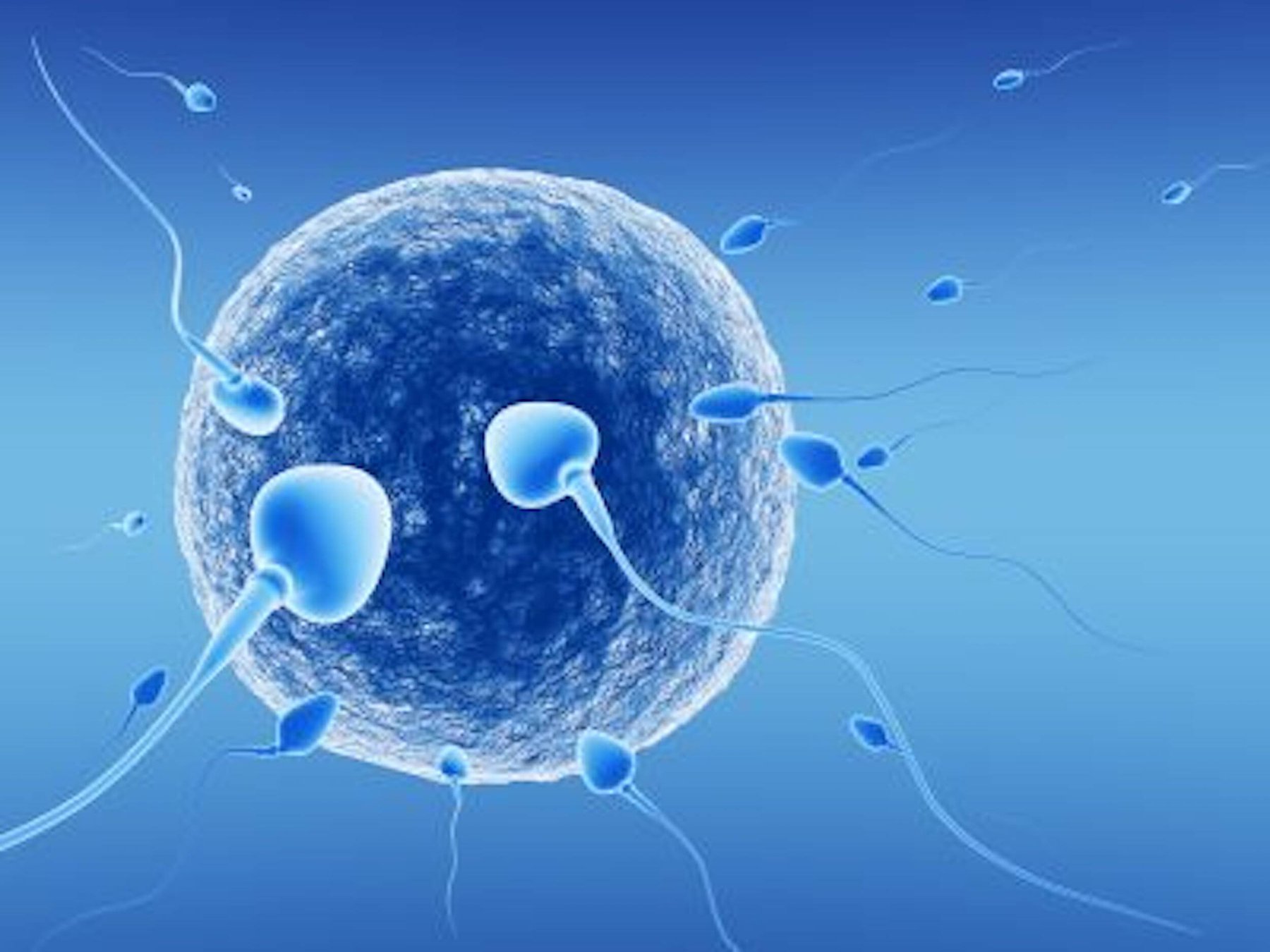 Thụ tinh trong ống nghiệm (IVF) là gì? Được chỉ định trong trường hợp nào?