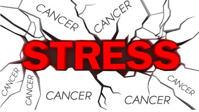 Mối liên hệ giữa căng thẳng (stress) và ung thư
