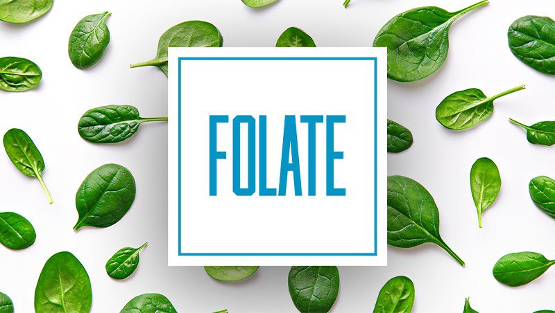 Folate (vitamin B9): Công dụng, liều dùng, tác dụng phụ