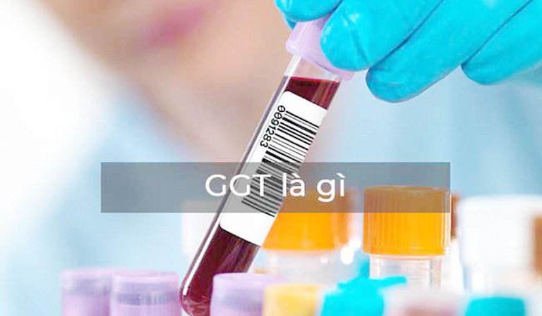 Chỉ số Gamma GT trong xét nghiệm máu