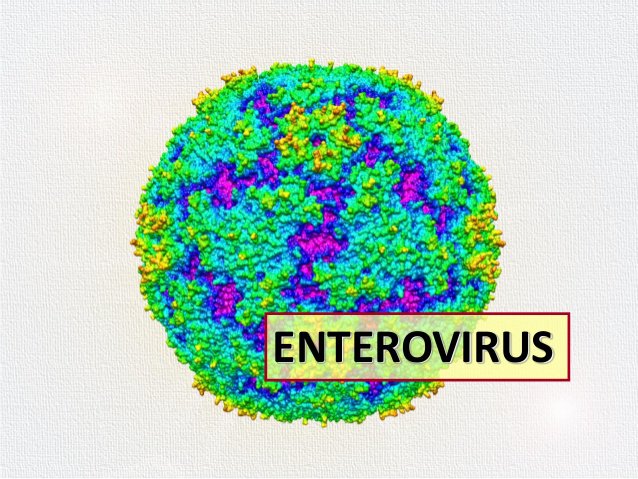 Khả năng tồn tại của virus gây bệnh tay chân miệng ở môi trường bên ngoài