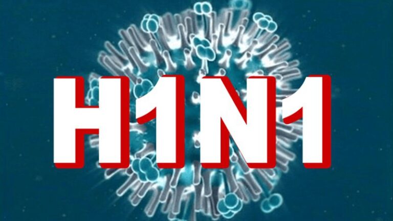Virus cúm A/H1N1 có nguy hiểm?